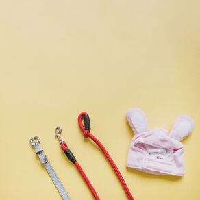 Leashes, Leads & Lines - The Ultimate Dog Trainer's Guide